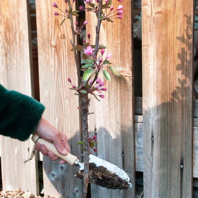 MiniTree plantschepje