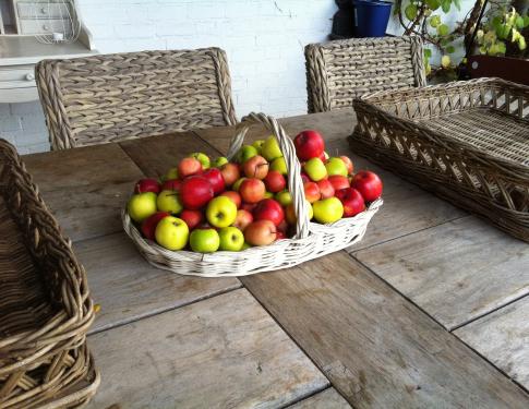 Appeltjes in mandje op tuintafel Mieke