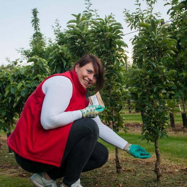 MiniTree 2019 Tip Juli marjolein minimest